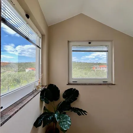 Tino & Leon Apartman