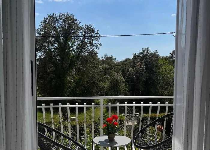 Tino & Leon Sukošan