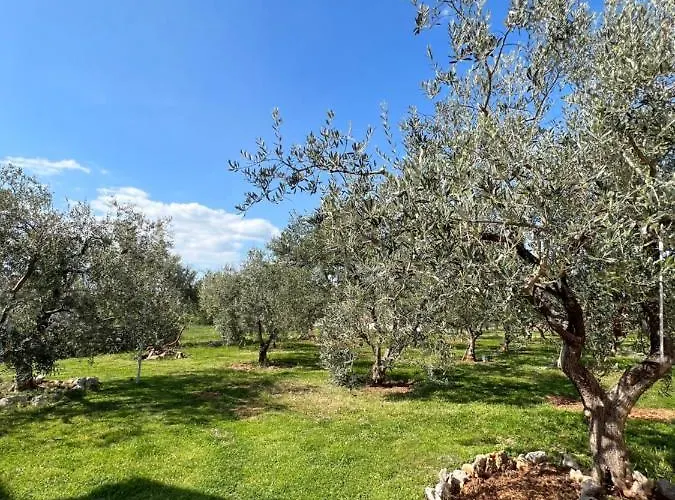 Tino & Leon Sukošan