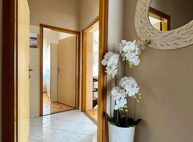 Tino & Leon * Sukošan