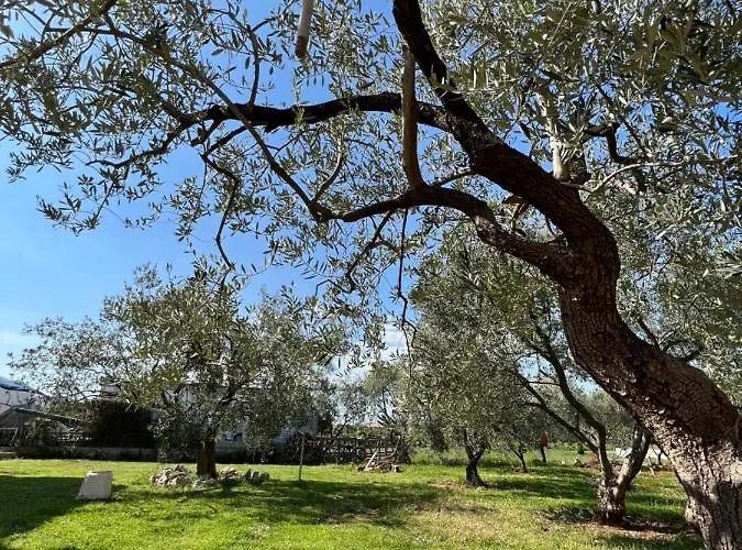 דירה Tino & Leon Sukošan